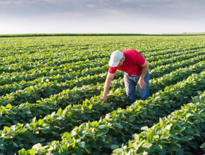 Agronomy in Nebraska